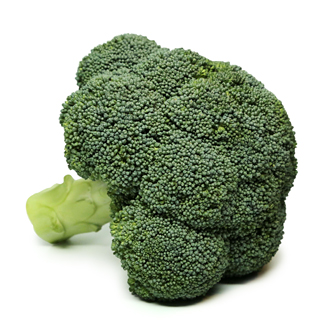 broccoli บลอคคอรี่